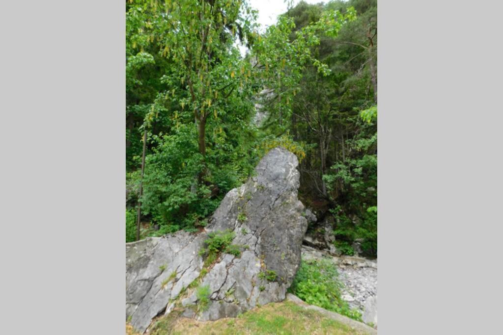 Rezidenca Mitja Villa Kranjska Gora Exteriör bild